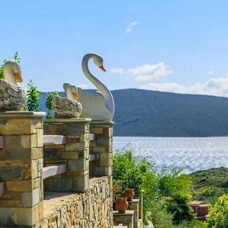 Agnantema Seaview